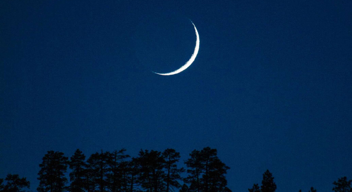 Лунный посевной календарь на март 2025