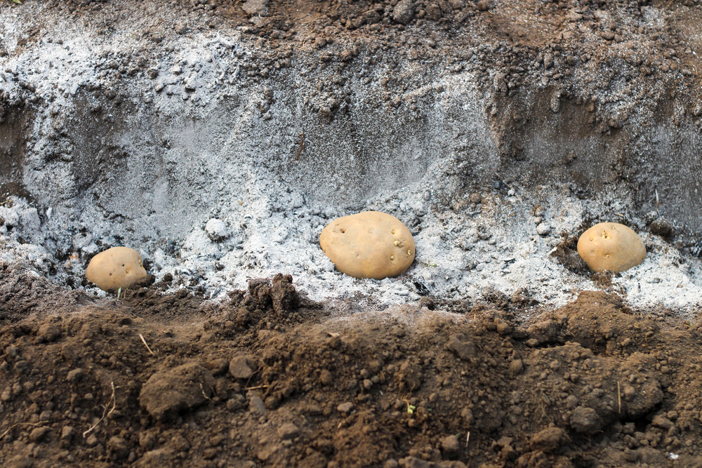 Какие удобрения вносить в лунку при посадке картофеля весной