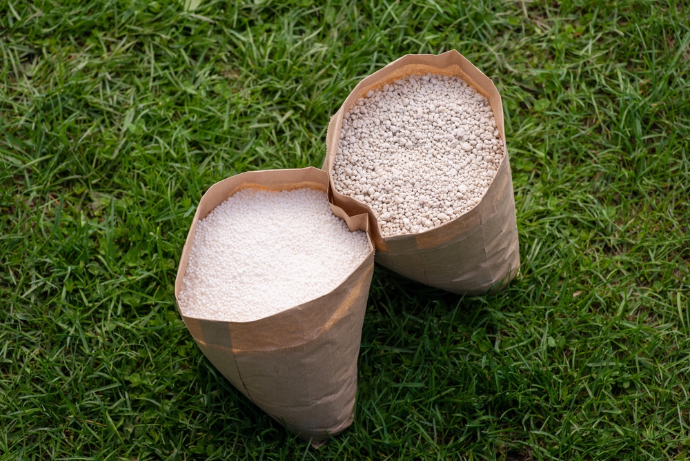 Какие удобрения вносить в лунку при посадке картофеля весной