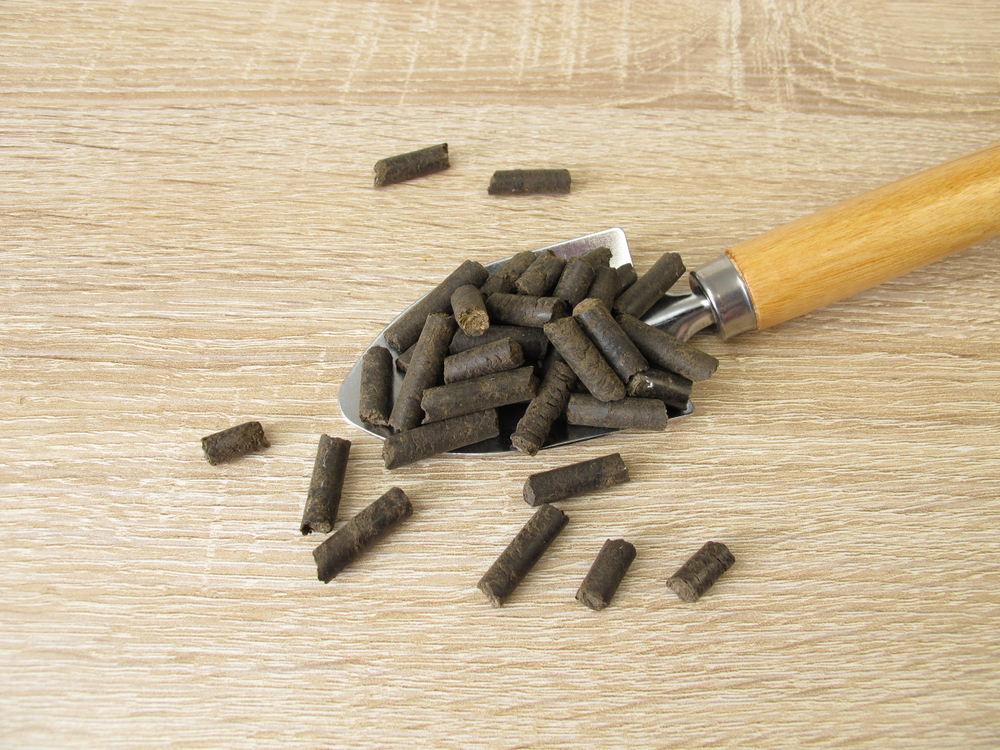 Чем удобрять рассаду помидоров в домашних условиях