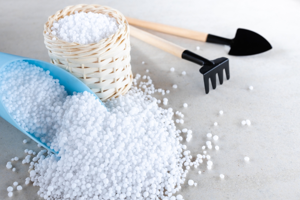 Чем удобрять рассаду помидоров в домашних условиях