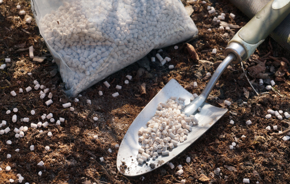 Посадка картофеля весной в открытый грунт: сроки, схема, подготовка