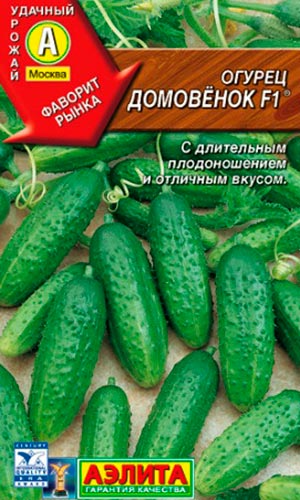 Сорта поздних огурцов для теплиц и открытого грунта