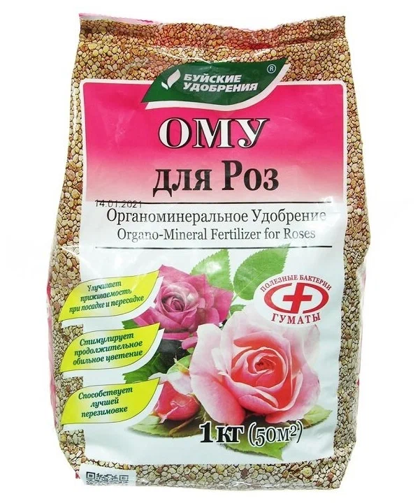 Чем подкормить розы в июне