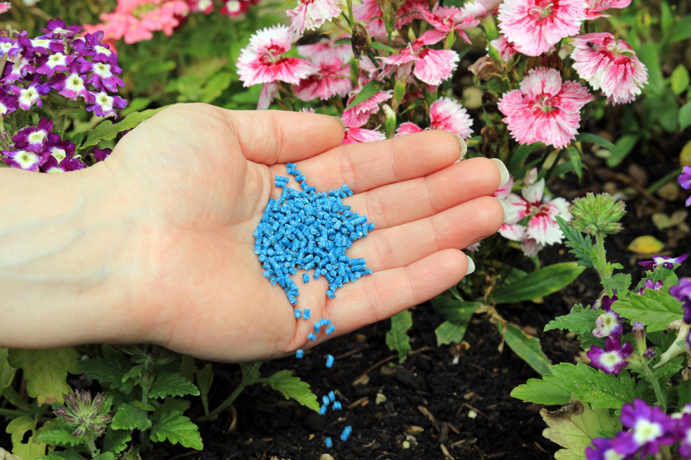 Как избавиться от слизней в огороде: средства и способы