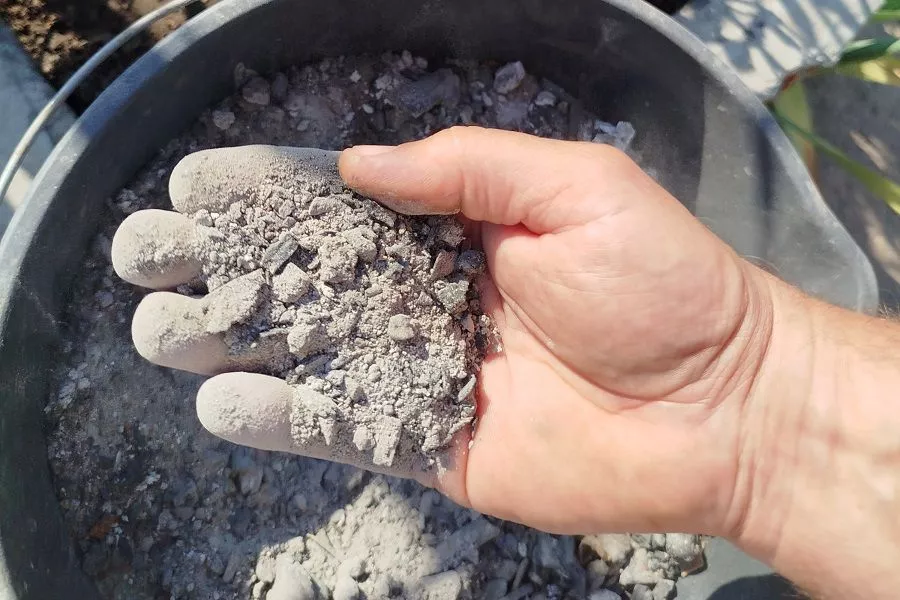 Чем подкормить крыжовник во время плодоношения