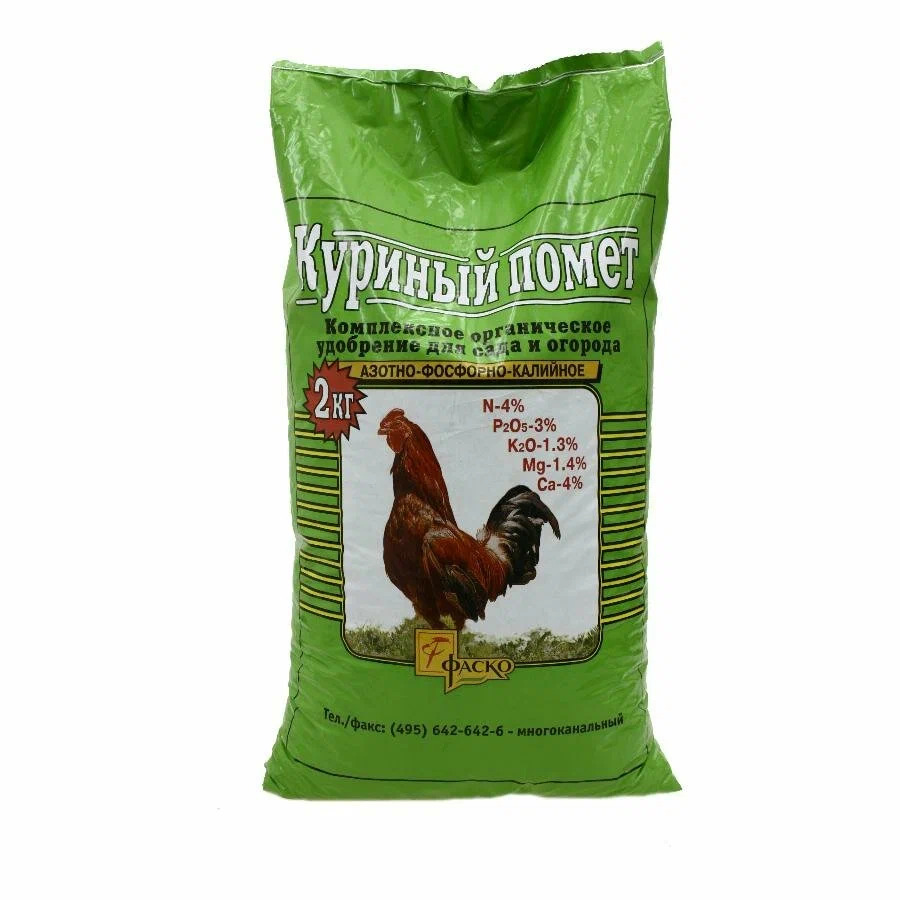 Чем подкормить крыжовник во время плодоношения