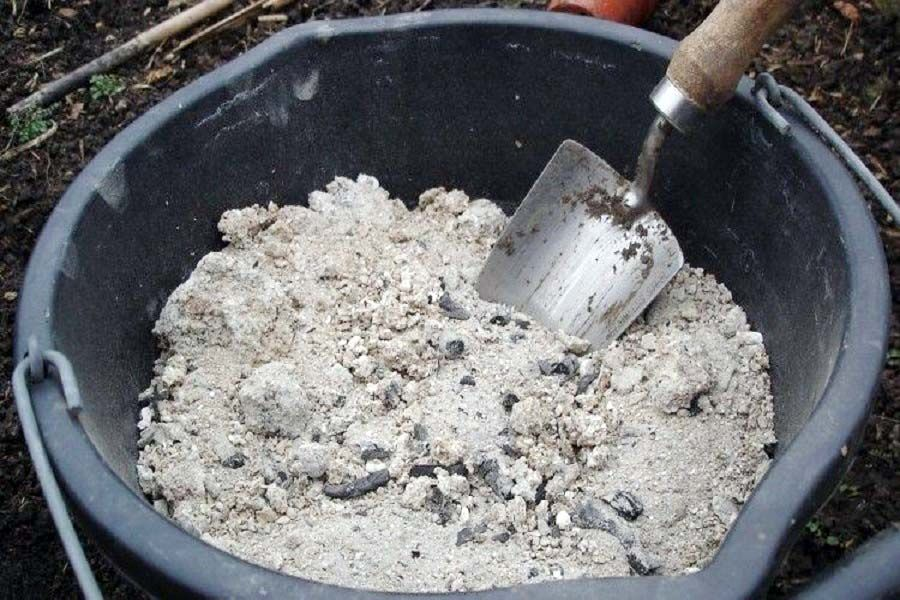 Чем подкормить помидоры во время плодоношения