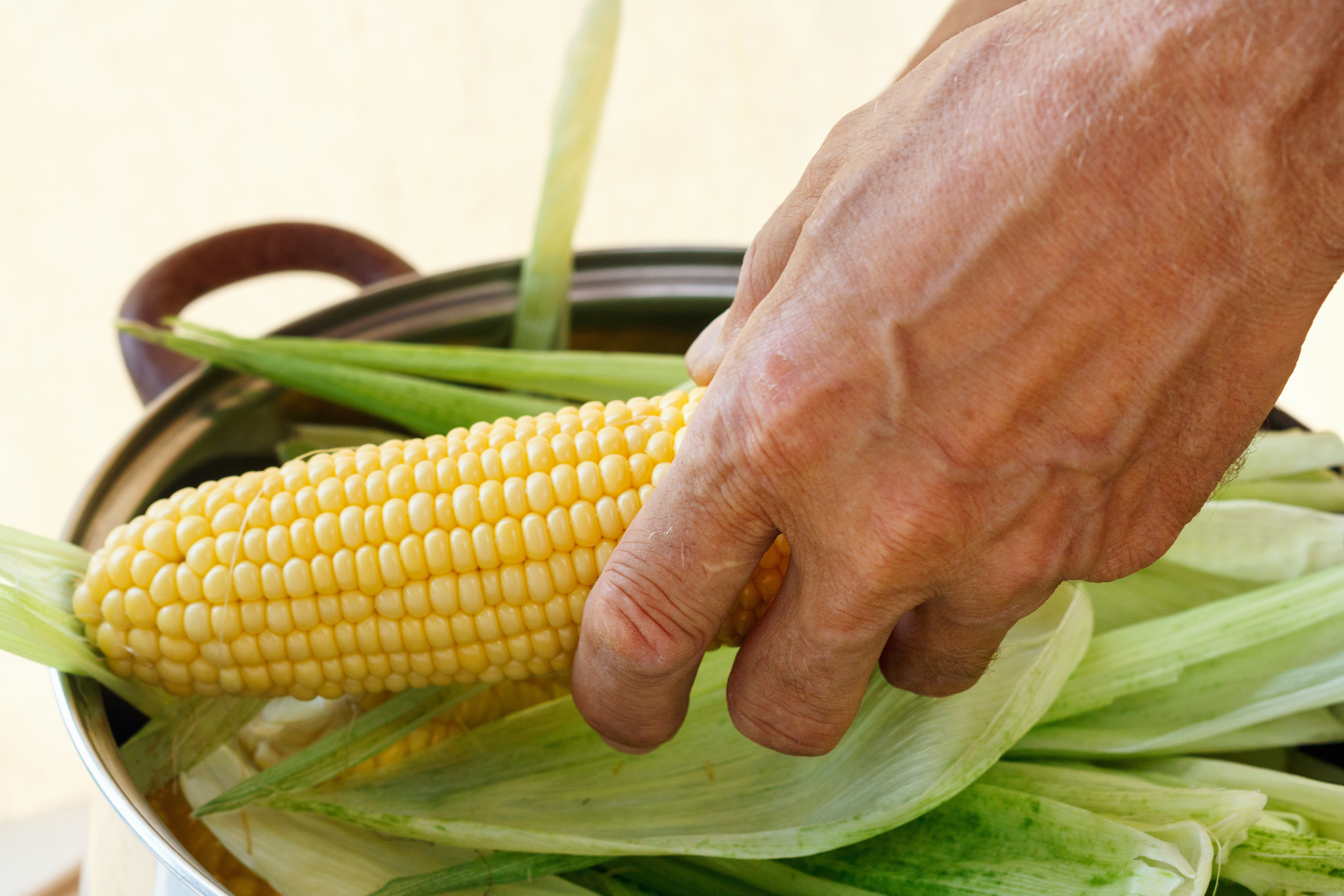 Как правильно варить кукурузу