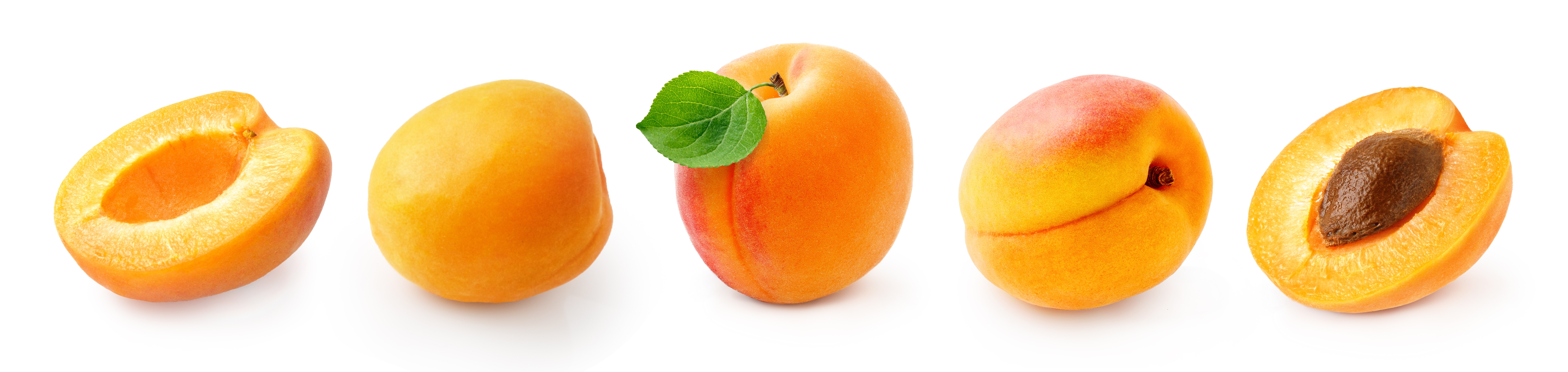 Абрикосы в сиропе на зиму рецепт половинками: закатываем лето в банки