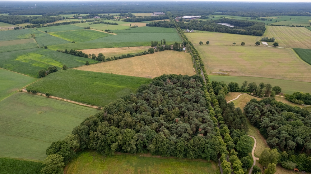 Аукцион земельных участков от государства