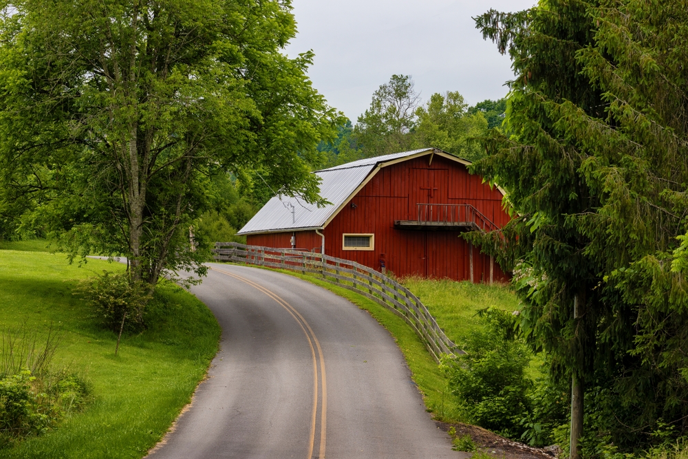 Кто должен чистить канавы в СНТ, кто за это платит и другие вопросы