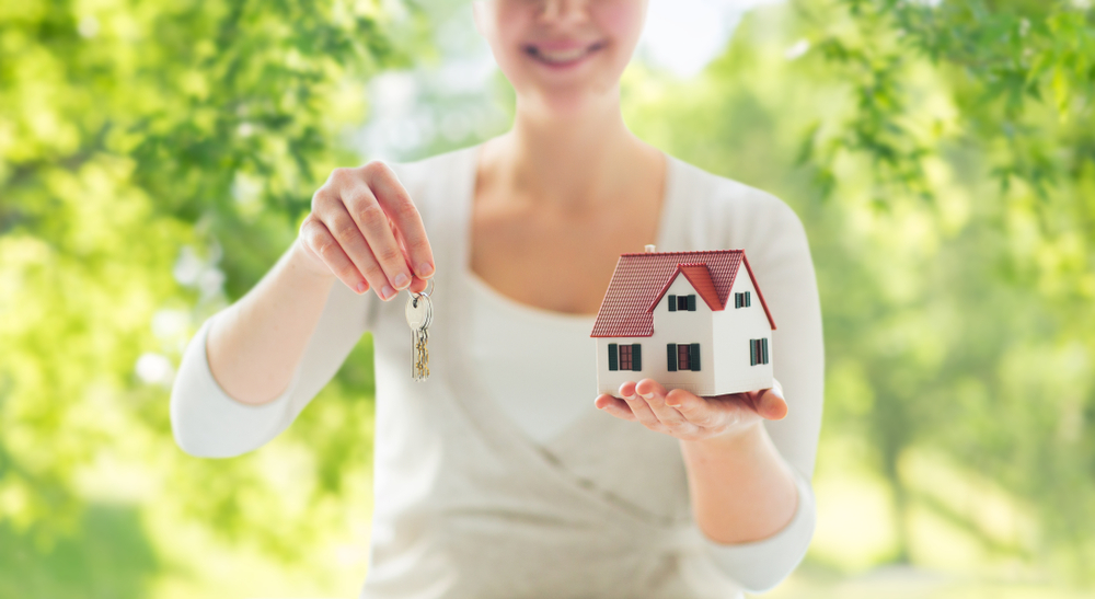 Что надо знать при покупке земельного участка: краткий гид