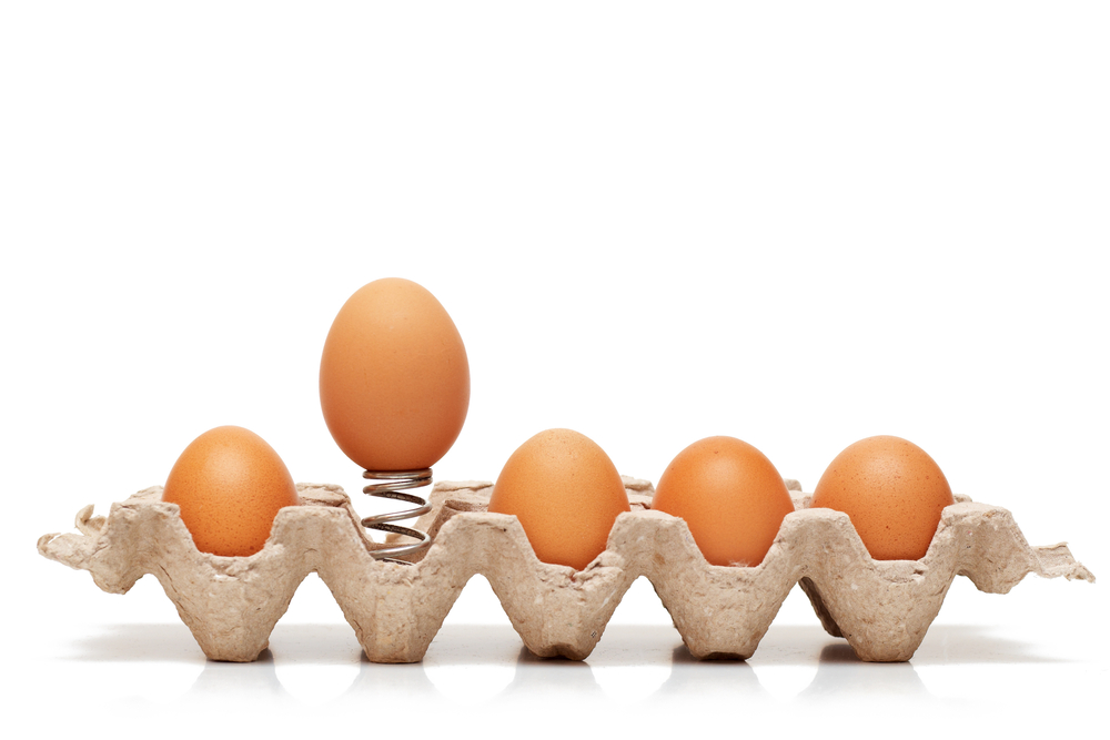 Яйца СО и С1: 5 отличий