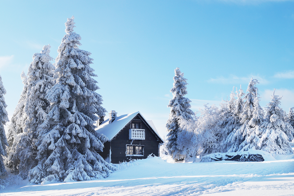 Что надо знать при покупке земельного участка: 7 важных нюансов