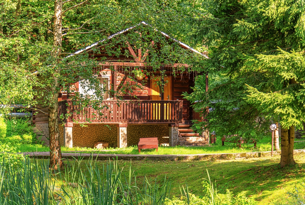 Как купить участок в лесу или у реки: 7 частых вопросов