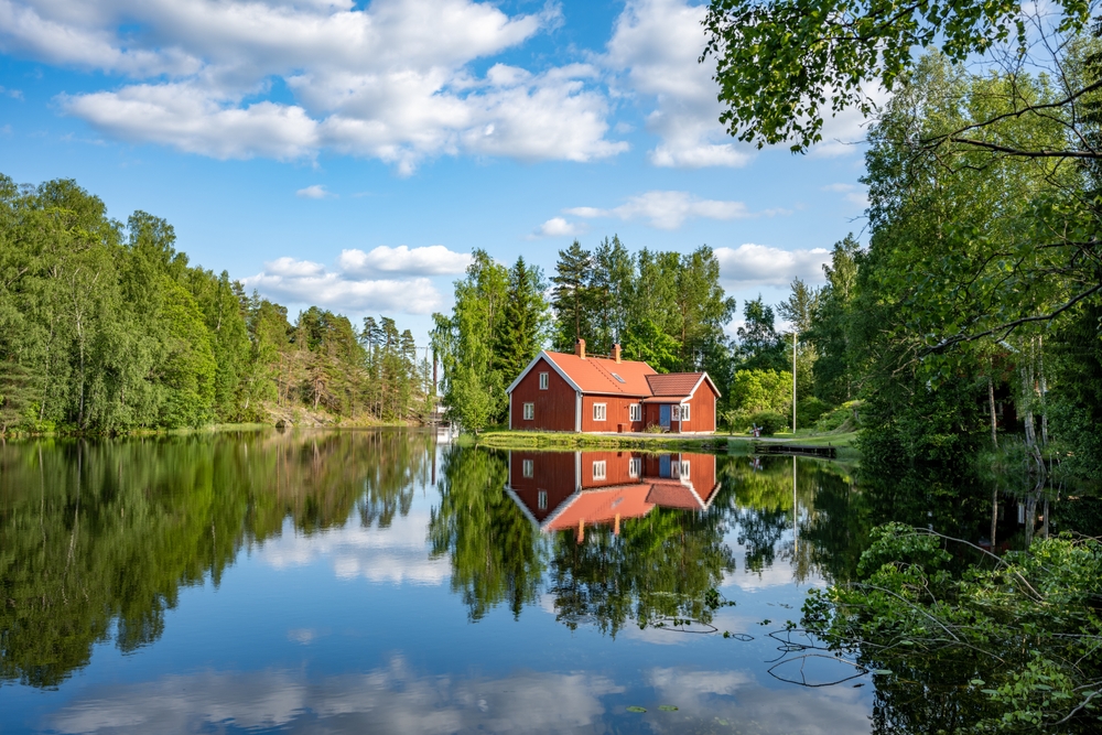 Как купить участок в лесу или у реки: 7 частых вопросов