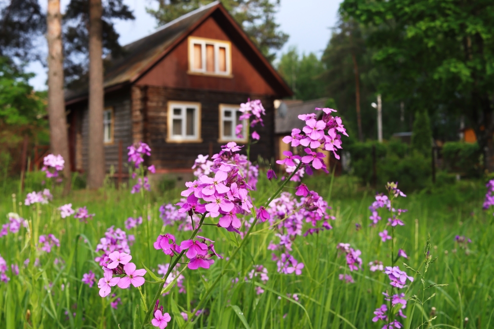 Как выйти из СНТ или вступить в него: 10 популярных вопросов