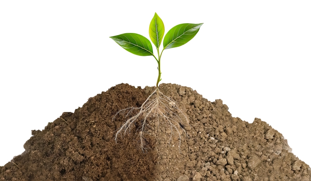 Дерново-подзолистые почвы — это какой грунт?