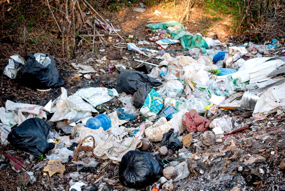 Вывоз мусора в СНТ: 10 главных вопросов