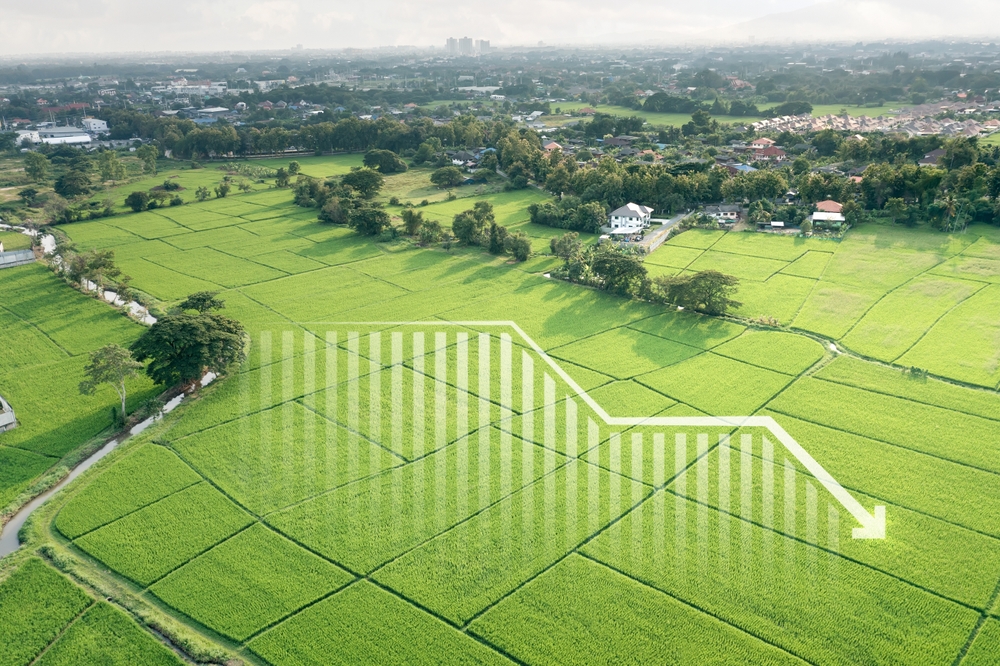 Через какое время можно продать земельный участок без налога