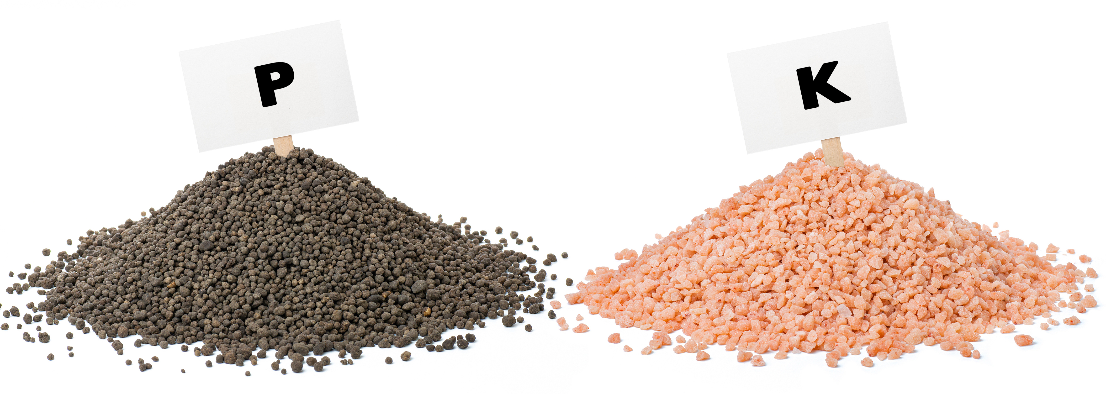 Чем подкормить малину осенью после обрезки: инструкция по удобрению