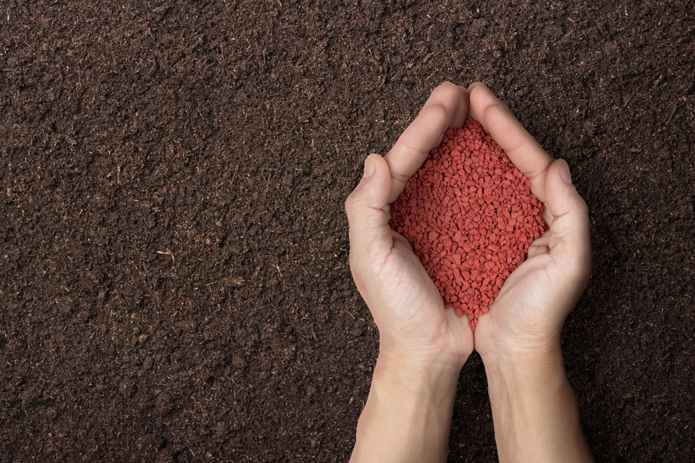 Чем подкормить малину осенью после обрезки: инструкция по удобрению