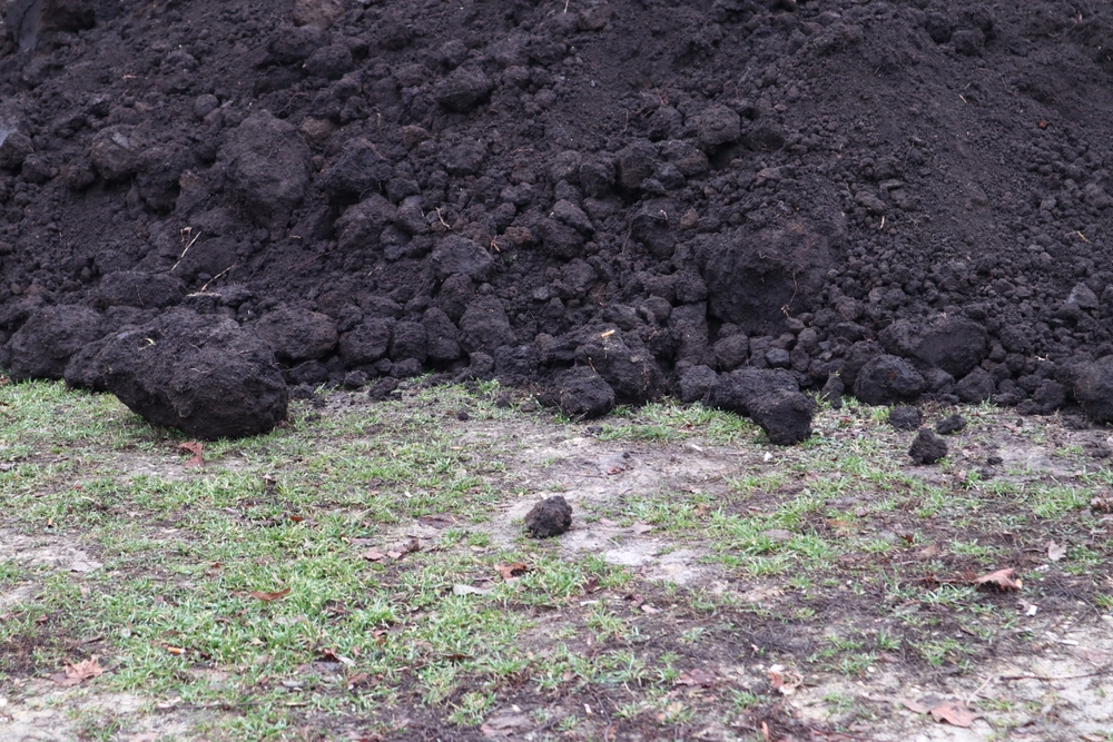 Что лучше – чернозём или плодородный грунт: 6 главных отличий