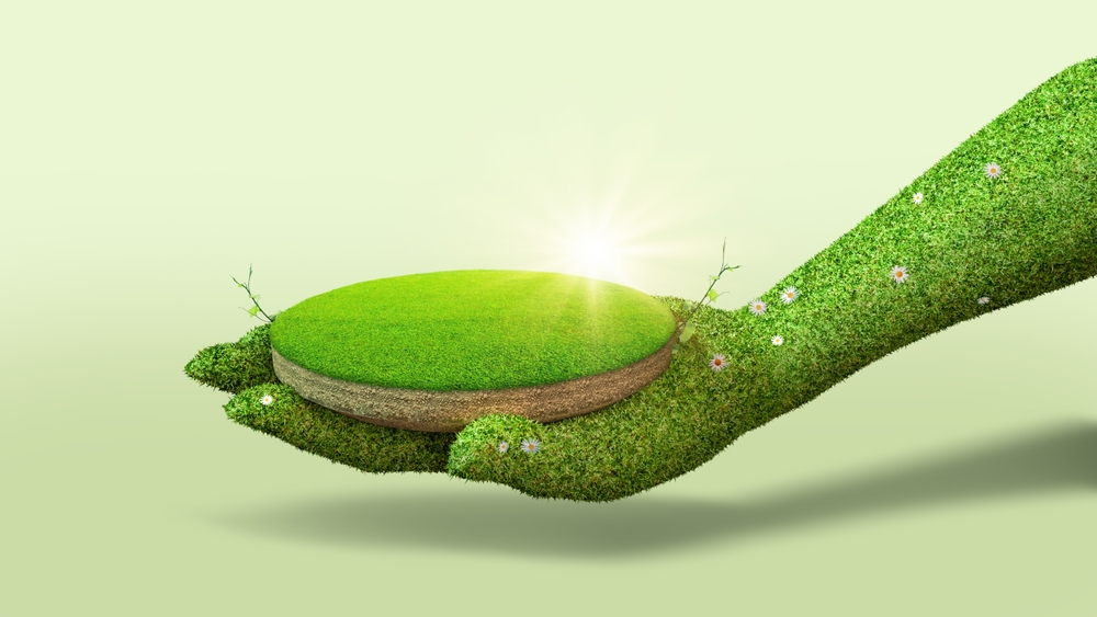 Что такое плодородный грунт: рецепт урожая