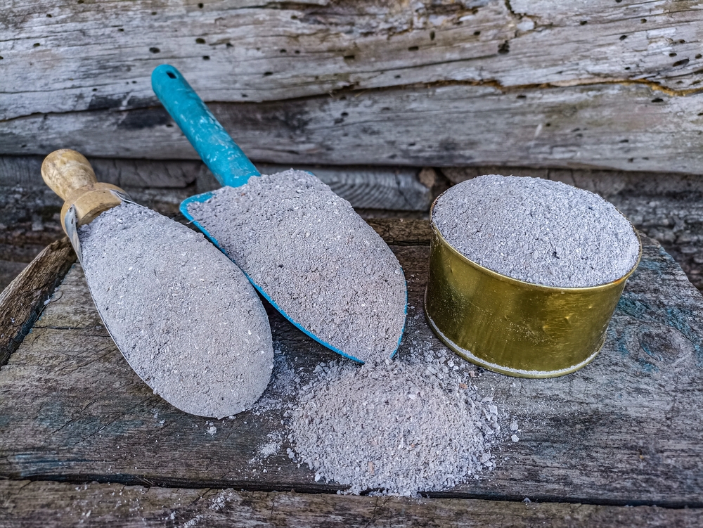 Чем подкормить яблоню осенью: 8 секретов