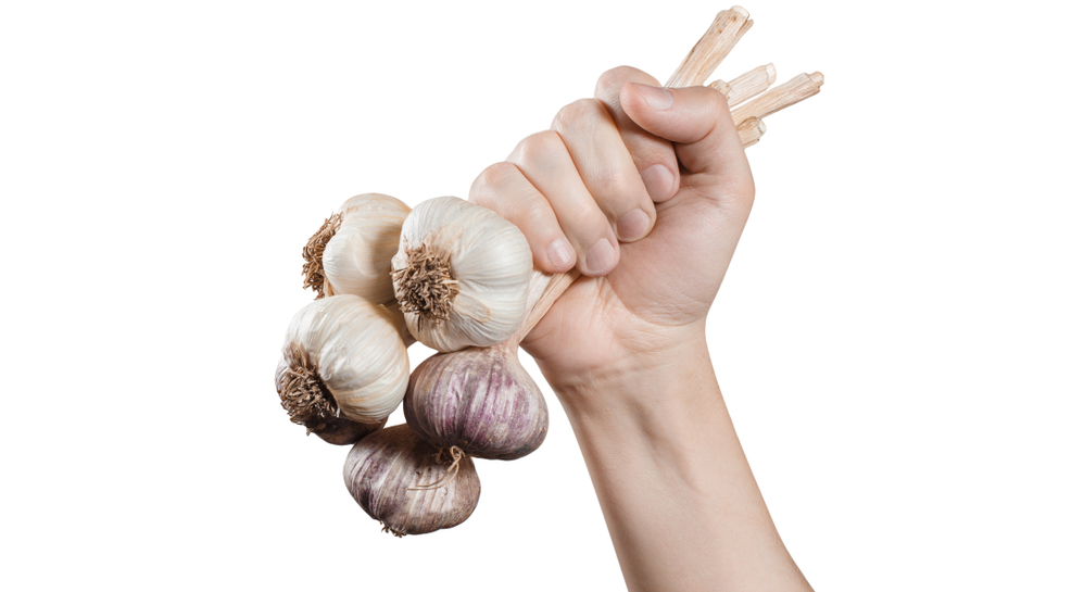 После чего можно сажать под зиму чеснок: грядка лучших «соседей»