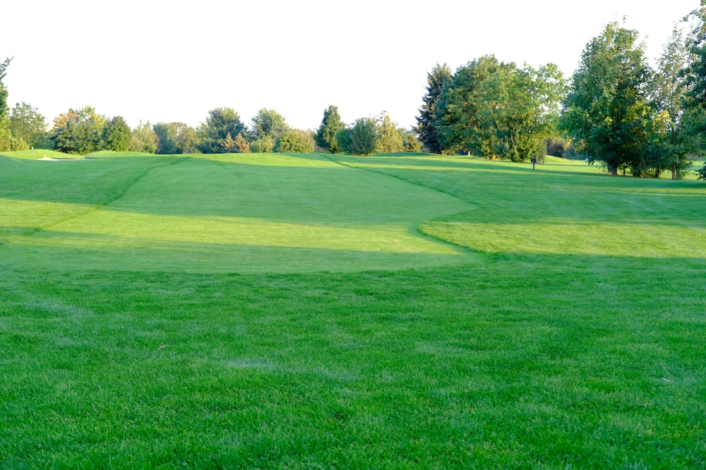 Сотка земли – сколько это в метрах?