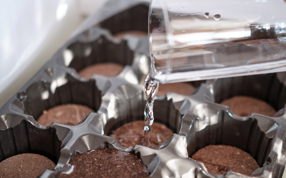 Как укоренить герань черенками в домашних условиях — 3 верных способа