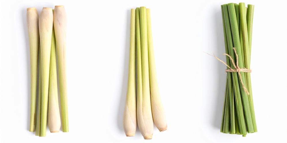 Лемонграсс и цитронелла — что это такое?