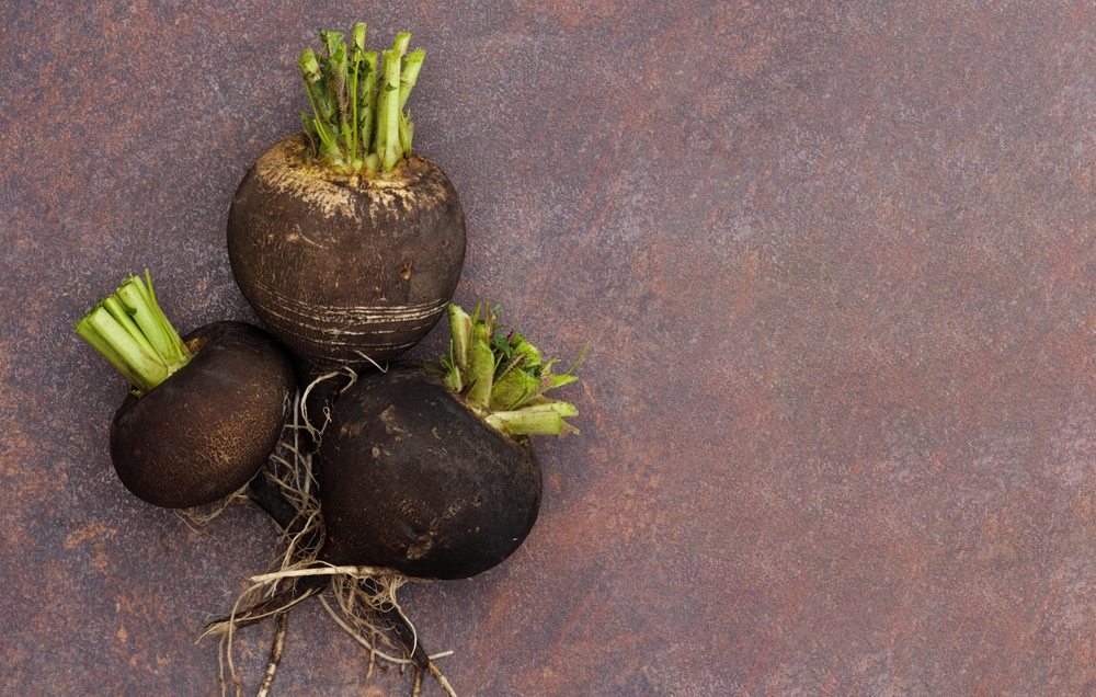 Чем полезна редька?