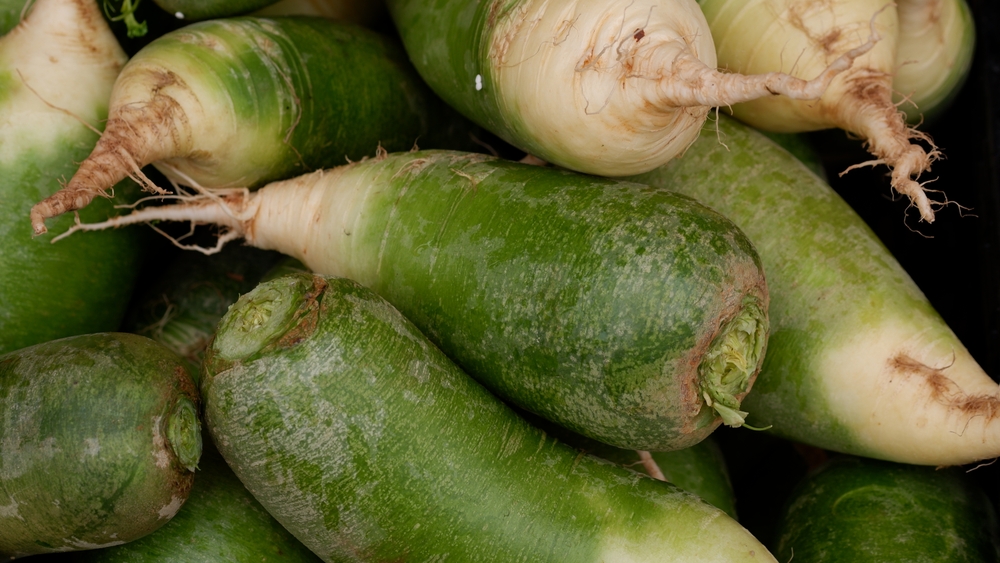 Чем полезна редька?