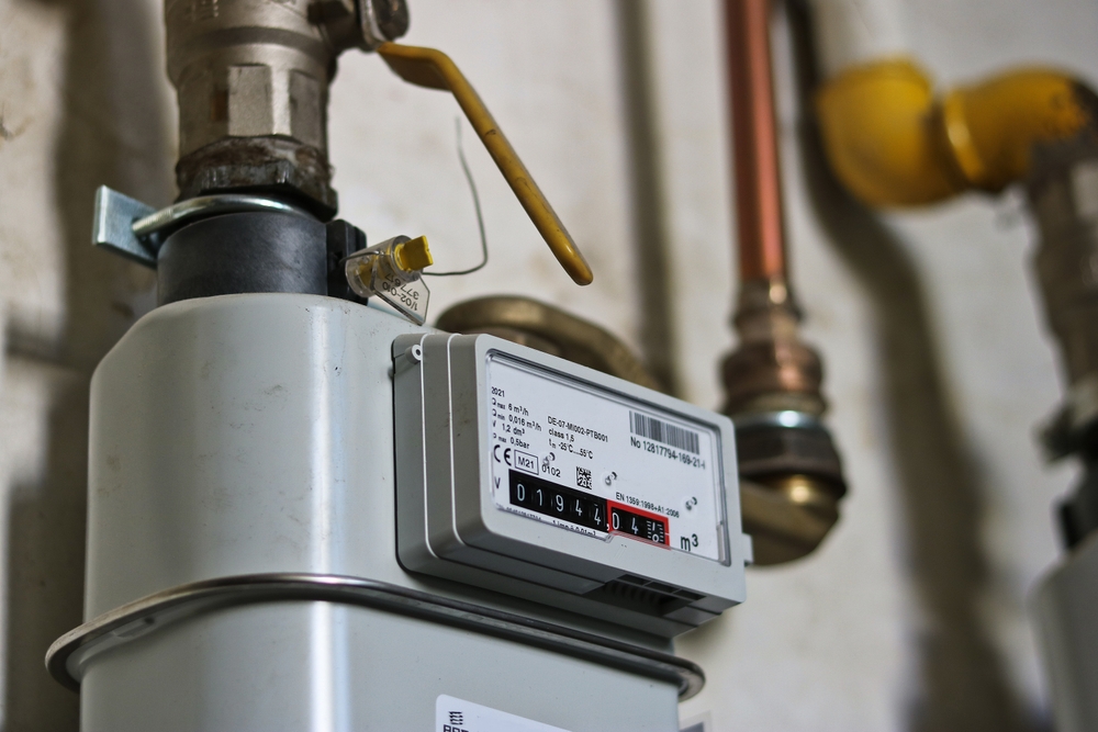 Виды газовых счетчиков. Какой газовый счетчик выбрать для квартиры и дома?