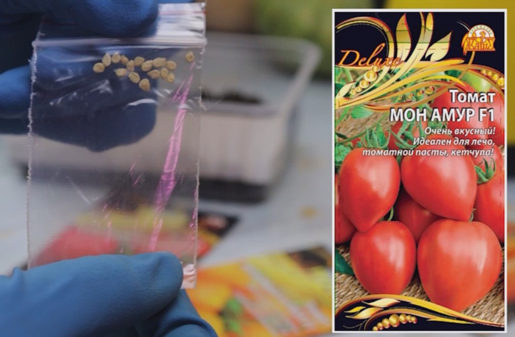 Когда не терпится посеять. Вот 4 урожайных и проверенных томата