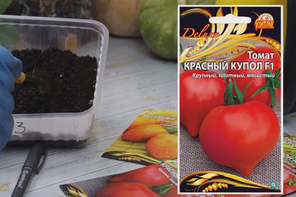 Когда не терпится посеять. Вот 4 урожайных и проверенных томата