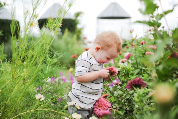 10 садовых растений, которые опасны для детей