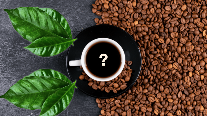 Ученые создали чашку кофе «из пробирки»