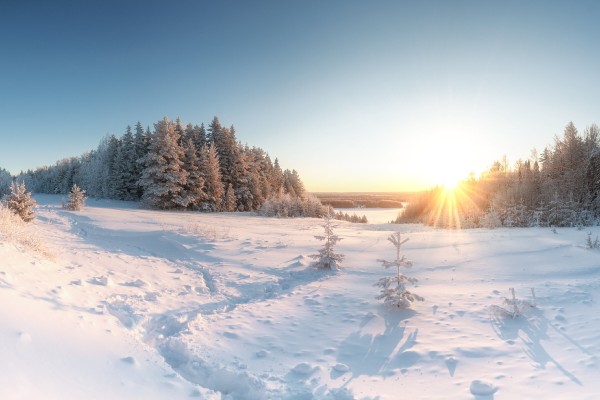 Зимние явления природы, которые можно увидеть в России