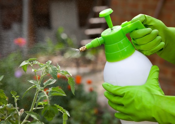 Что делать с пестицидами зимой и как их правильно утилизировать
