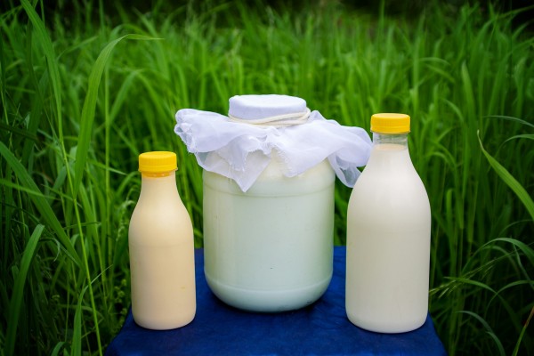 Субсидии для ЛПХ-2024: возмещение затрат на производство молока