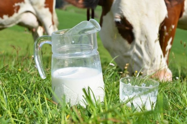 В Брянской области утвердили ставку субсидии для ЛПХ на производство молока - 2024