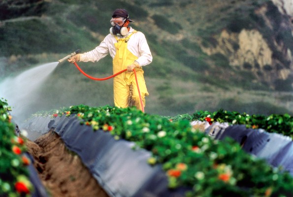 Штрафы за неправильное обращение с пестицидами могут вырасти