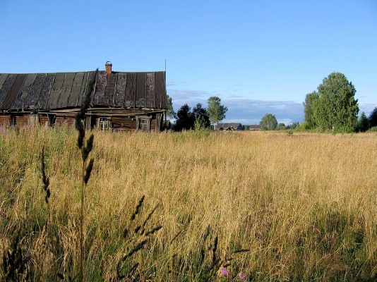 Неиспользуемые земли в Республике Коми вернут в сельхозоборот