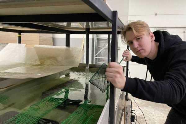 В Томске студент начал разводить огромных креветок