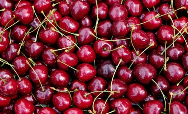 Вишня: как выглядит, описание, где растет