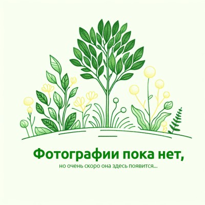 Славянская усадьба